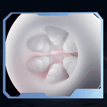 Laden Sie das Bild in den Galerie-Viewer, SVAKOM 5 Thrusting Modes Blowjob Sex Toy Stroker Adult Toys for Men