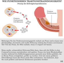 Laden Sie das Bild in den Galerie-Viewer, Erektionshilfe Penis Extender Physische Penisverlängerung