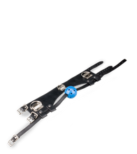 Laden Sie das Bild in den Galerie-Viewer, Ballknebel mit Bondage-Halsband