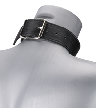Laden Sie das Bild in den Galerie-Viewer, BDSM-Halsband und -Leine