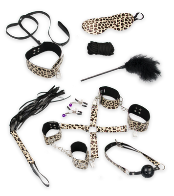 BDSM-Set, 11 Teile