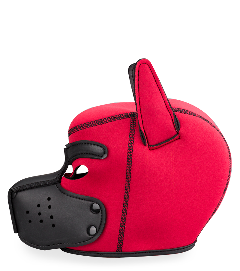 Farbige Puppy-Play-Hundemaske aus Neopren