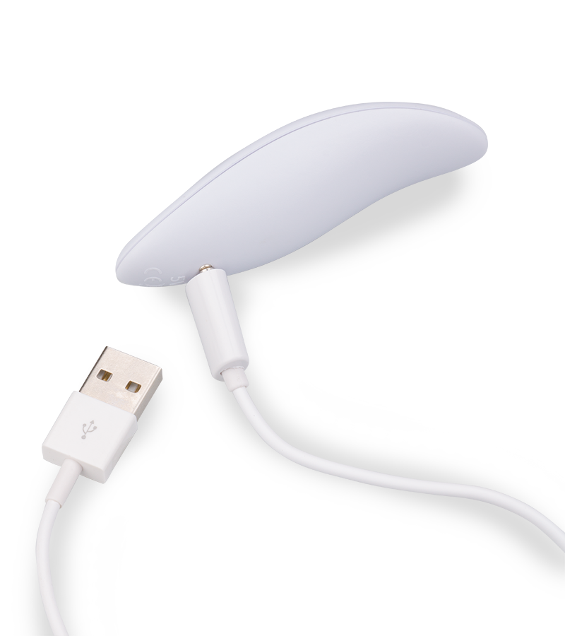 Ferngesteuerter Prostatastimulator Albert