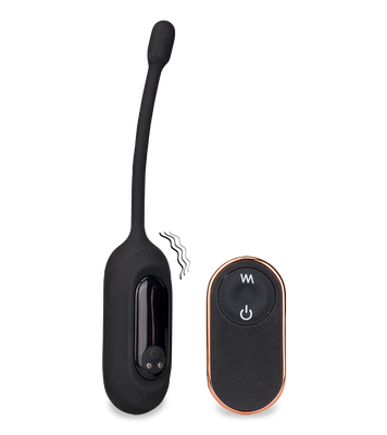 Ferngesteuertes Vibroei Eureka