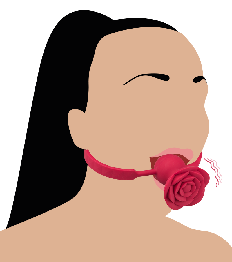 Gagball mit Vibration Rosie