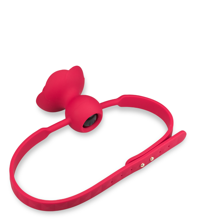 Gagball mit Vibration Rosie