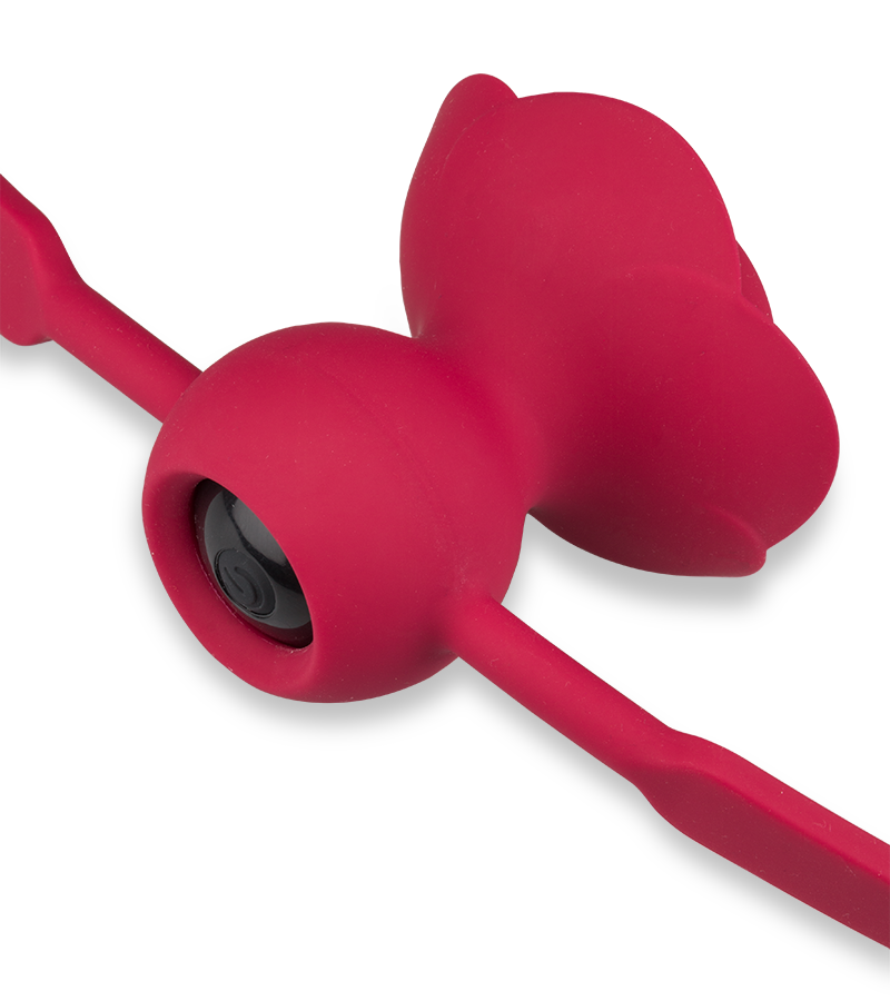 Gagball mit Vibration Rosie