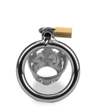 Laden Sie das Bild in den Galerie-Viewer, Keuschheitsgürtel mit chinesischem Sternzeichen Schwein