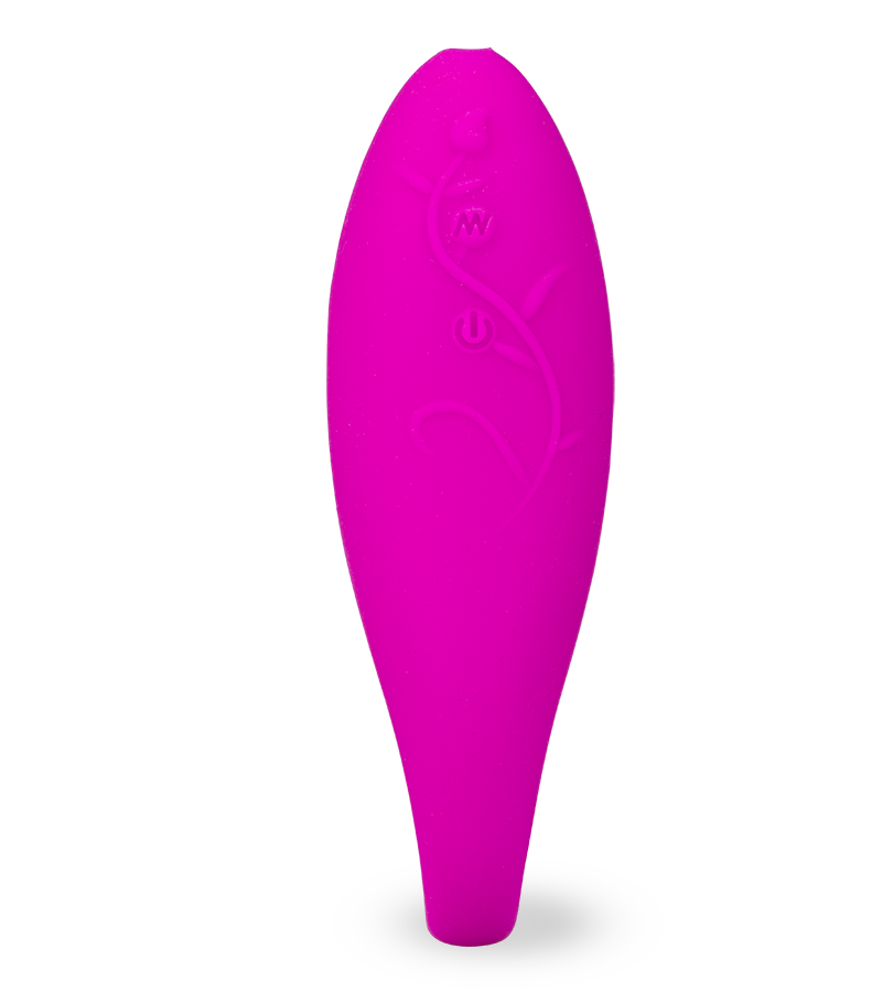 Paar-Vibrator Lov'Inside