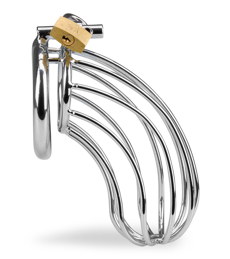 Penis-Keuschheitsgürtel Sentence