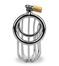 Laden Sie das Bild in den Galerie-Viewer, Penis-Keuschheitsgürtel Sentence