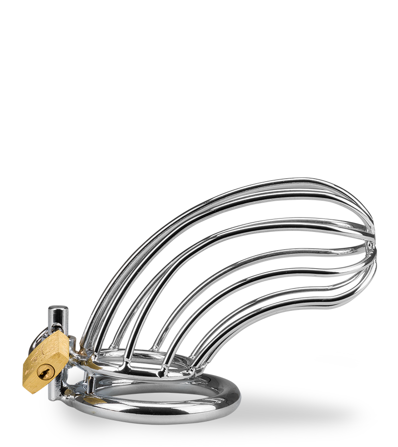 Penis-Keuschheitsgürtel Sentence