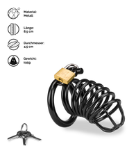 Laden Sie das Bild in den Galerie-Viewer, Peniskäfig Little Prisoner