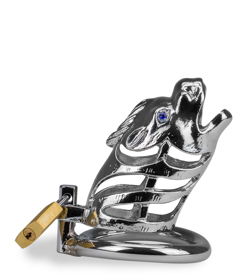 Peniskäfig mit chinesischem Drachen