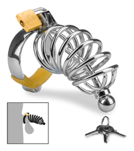 Laden Sie das Bild in den Galerie-Viewer, Peniskäfig mit Harnröhrenplug Delicious Chastity