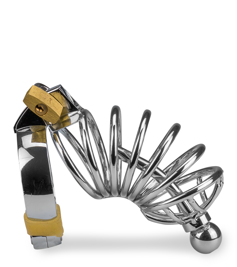 Peniskäfig mit Harnröhrenplug Delicious Chastity