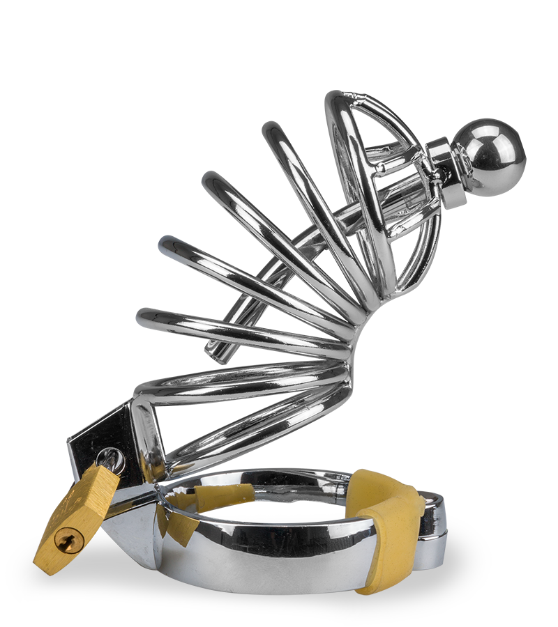 Peniskäfig mit Harnröhrenplug Delicious Chastity
