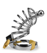 Laden Sie das Bild in den Galerie-Viewer, Peniskäfig mit Harnröhrenplug Delicious Chastity