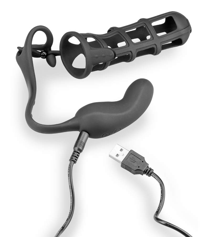 Peniskäfig mit Hodenring und Analvibrator