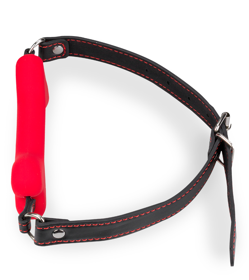 Puppy-Play-Knebel Knochen aus Silikon 12,3 cm