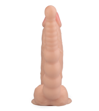 Laden Sie das Bild in den Galerie-Viewer, Realistischer Saugnapf-Dildo mit Analplug Wilfried